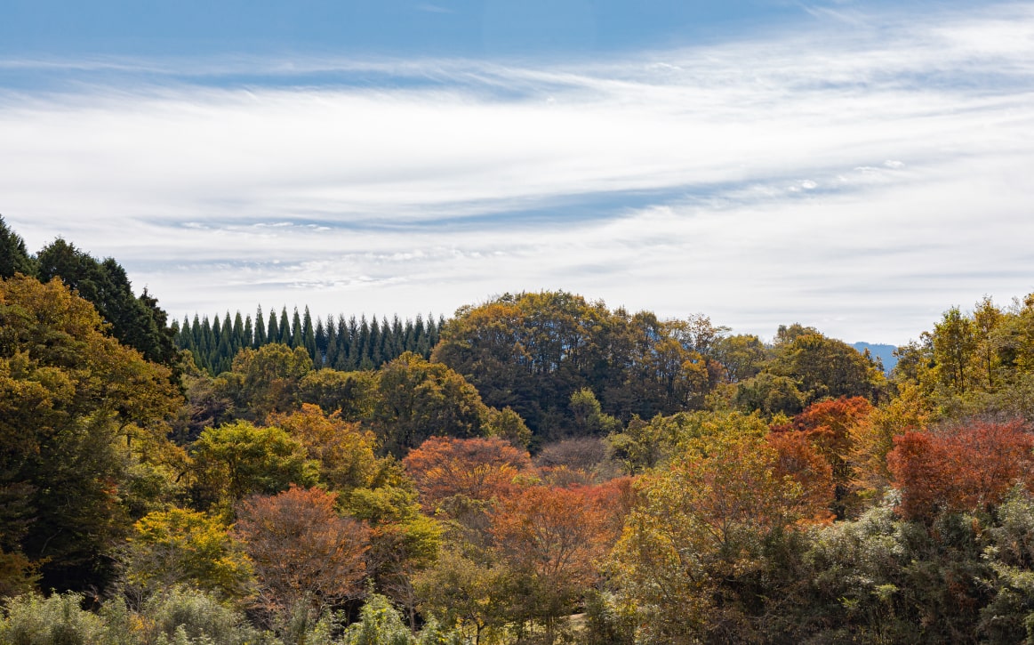 山都町にある滝